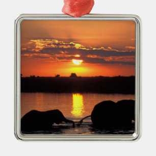 Afrika, Botsuana, Chobe-Nationalpark, Herde Ornament Aus Metall