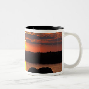 Afrika, Botsuana, Chobe-Nationalpark, Herde Zweifarbige Tasse