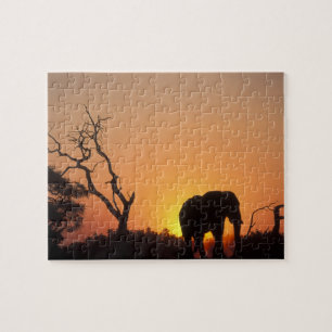 Afrika, Botsuana, Chobe-Nationalpark, Szene Puzzle