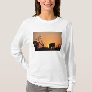 Afrika, Botsuana, Chobe-Nationalpark, Szene T-Shirt