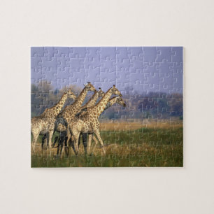 Afrika, Botsuana, Moremi-Wildreservat Puzzle