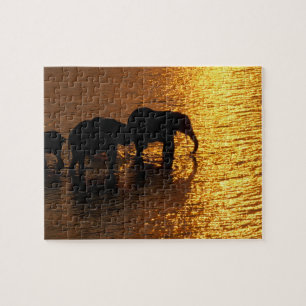 Afrika, Botsuana, Okavango-Delta. Afrikanisch Puzzle