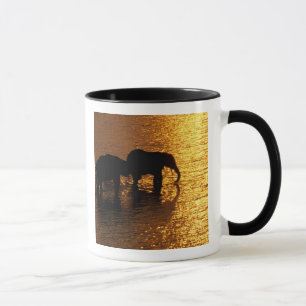 Afrika, Botsuana, Okavango-Delta. Afrikanisch Tasse