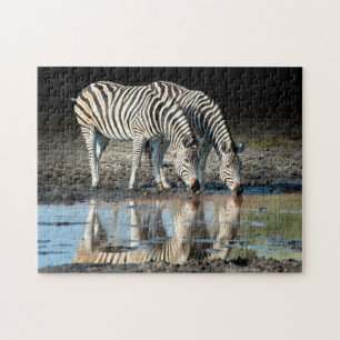 Afrika, Botsuana, Okavango-Delta, Davison-Lager Puzzle