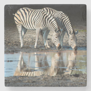 Afrika, Botsuana, Okavango-Delta, Davison-Lager Steinuntersetzer