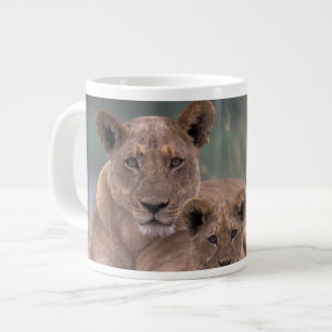 Afrika, Botsuana, Okavango-Delta. Löwen Jumbo-Tasse