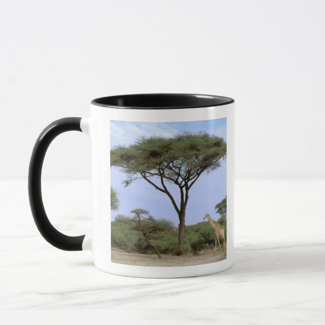 Afrika, Botsuana, Okavango-Delta. Süden Tasse (Links)