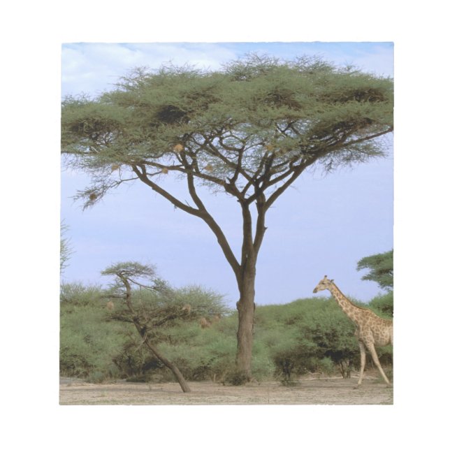 Afrika, Botsuana, Okavango-Delta. Südlich Notizblock (Vorderseite)