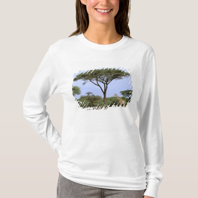 Afrika, Botsuana, Okavango-Delta. Südlich T-Shirt (Vorderseite)