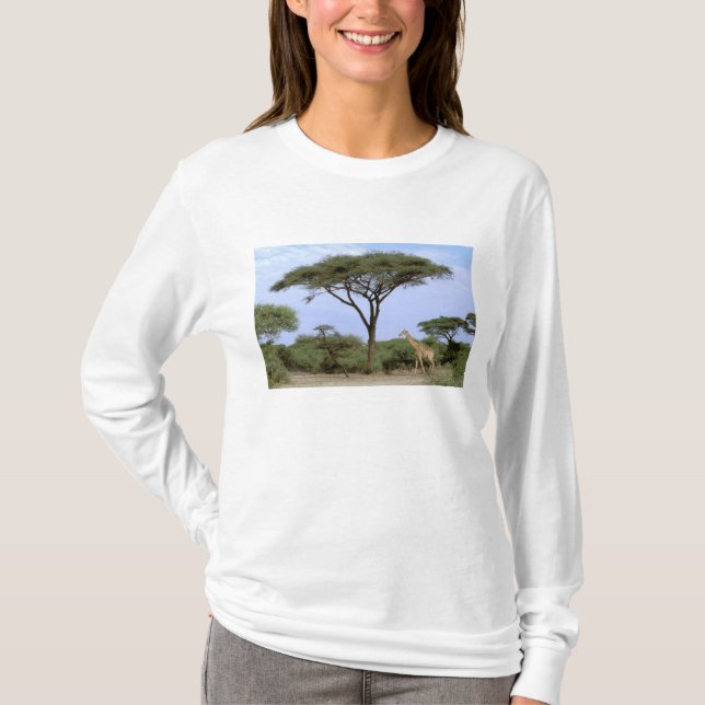 Afrika, Botsuana, Okavango-Delta. Südlich T-Shirt (Vorderseite)