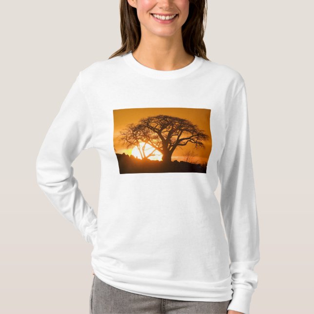 Afrika, Botsuana, Sonnenuntergang Silhouetten Baob T-Shirt (Vorderseite)