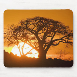 Afrika, Botsuana, Untergehende Sonne silhouettiert Mousepad