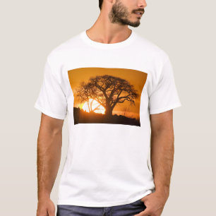 Afrika, Botsuana, Untergehende Sonne silhouettiert T-Shirt