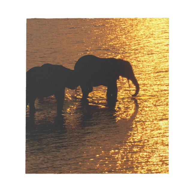 Afrika, Botswana, das Okavango-Delta. afrikanisch Notizblock (Vorderseite)