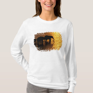 Afrika, Botswana, das Okavango-Delta. afrikanisch T-Shirt
