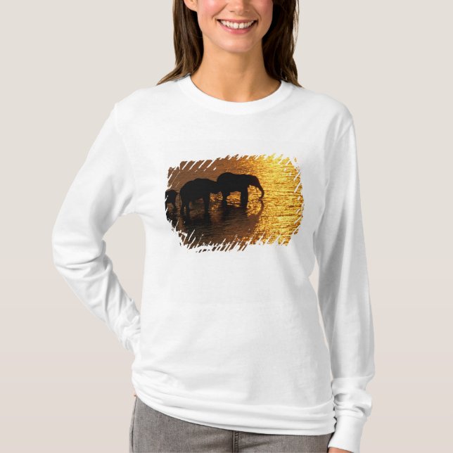 Afrika, Botswana, das Okavango-Delta. afrikanisch T-Shirt (Vorderseite)