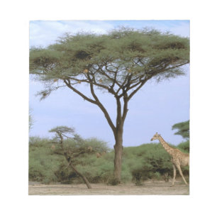 Afrika, Botswana, das Okavango-Delta. südlich Notizblock