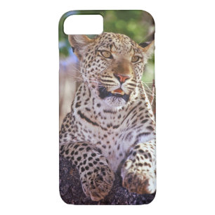 Afrika, Botswana, das Okvango-Delta, Wildleopard. Case-Mate iPhone Hülle