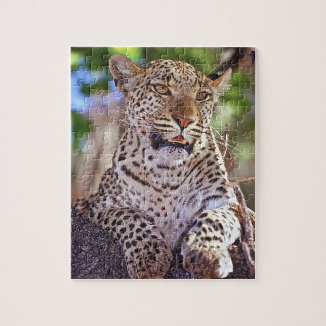Afrika, Botswana, das Okvango-Delta, Wildleopard.  Puzzle (Vertikal)