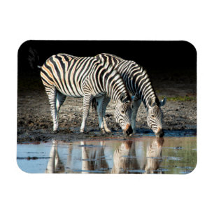 Afrika,Botswana, Okavango-Delta, Davison Camp Magnet