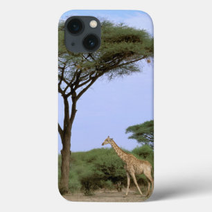 Afrika, Botswana, Okavango Dreieck. Südlich Case-Mate iPhone Hülle