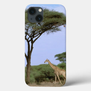 Afrika, Botswana, Okavango Dreieck. Südlich Case-Mate iPhone Hülle