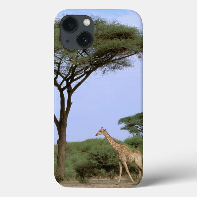 Afrika, Botswana, Okavango Dreieck. Südlich Case-Mate iPhone Hülle (Rückseite)