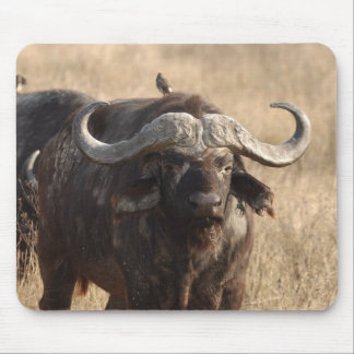 Afrika - Der Ochse mit großem Horn Mousepad