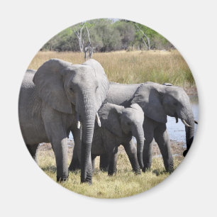 Afrika-Elefant-Herden Magnet