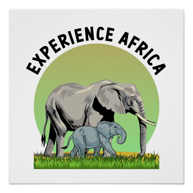 Afrika erleben poster (Vorderseite)