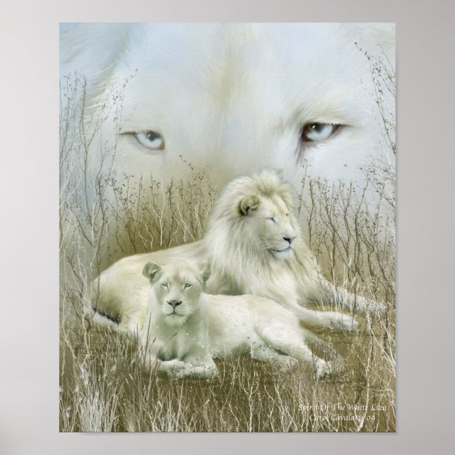 Afrika - Geist des White Lion Art Poster/Print Poster (Vorne)