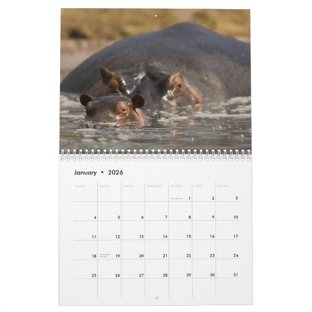 Afrika-Kalender 2015 durch McDonald-wild lebende Kalender (Jan 2026)