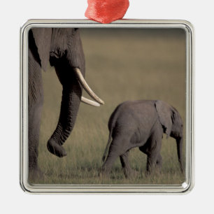 Afrika, Kenia, Amboseli-Nationalpark. Afrikanisch Silbernes Ornament