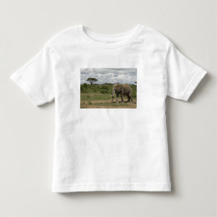 Afrika, Kenia, Amboseli-Nationalpark, Elefant, Kleinkind T-shirt