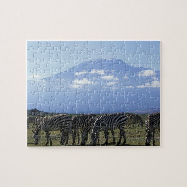 Afrika, Kenia, Amboseli-Nationalpark, Herde Puzzle (Horizontal)