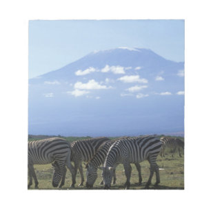 Afrika, Kenia, Amboseli-Nationalpark, Herde von Notizblock
