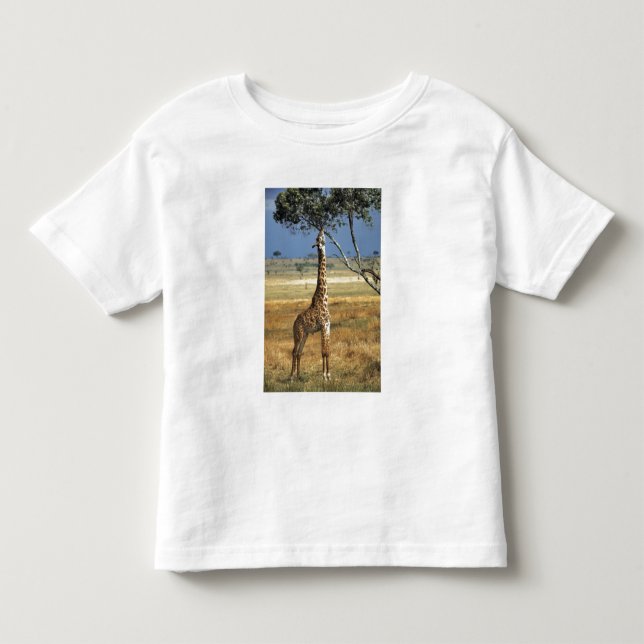 Afrika, Kenia, Amboseli NP Ein Gemein oder Masai, Kleinkind T-shirt (Vorderseite)