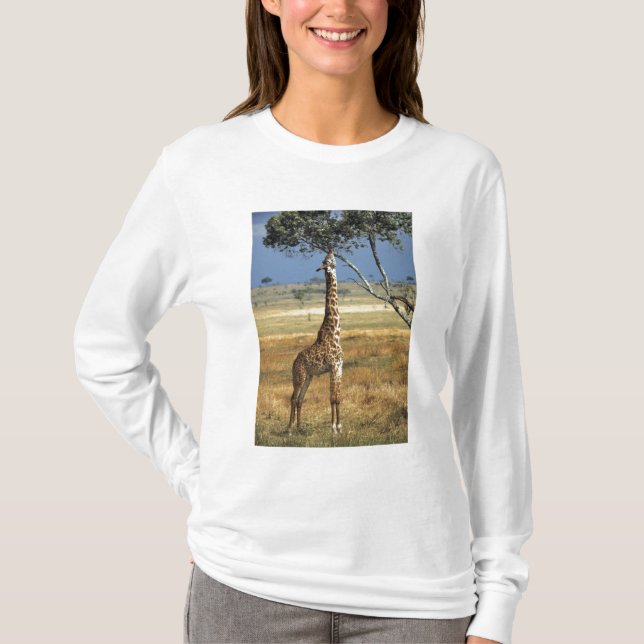 Afrika, Kenia, Amboseli NP Ein Gemein oder Masai, T-Shirt (Vorderseite)