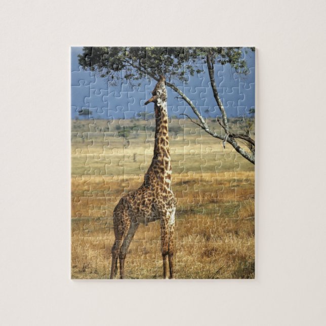 Afrika, Kenia, Amboseli NP. Ein gewöhnlicher oder  Puzzle (Vertikal)