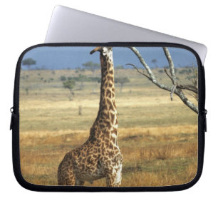 Afrika, Kenia, Amboseli-NP. Eine gemeine oder Mass Laptopschutzhülle