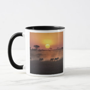 Afrika, Kenia, Amboseli NP. Zebras gehen zum Tasse