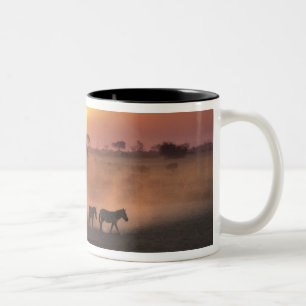Afrika, Kenia, Amboseli NP. Zebras gehen zum Zweifarbige Tasse
