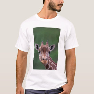 Afrika, Kenia, Impala Ranch. Netz- T-Shirt