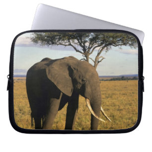 Afrika, Kenia, Maasai Mara. Ein Elefant in der Laptopschutzhülle