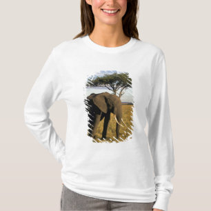 Afrika, Kenia, Maasai Mara. Ein Elefant in der T-Shirt