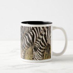 Afrika, Kenia, Maasai Mara Zweifarbige Tasse