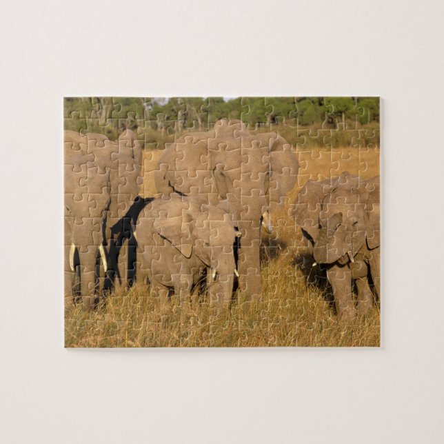 Afrika, Kenia, Masai Mara. Afrikanischer Elefant Puzzle (Horizontal)