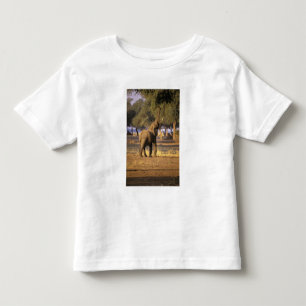 Afrika, Kenia, Masai Mara. Elefant (Loxodonta Kleinkind T-shirt