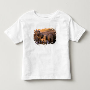 Afrika, Kenia, Masai Mara. Elefanten (Loxodonta Kleinkind T-shirt
