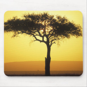 Afrika, Kenia, Masai Mara Game Reserve, Aufgehend Mousepad